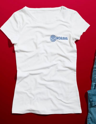 Unisex oversized majica, ceker, bulbul design, stećak, dukserica, sabur, identitet